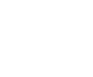 Evolution games at Vega Swild Casino