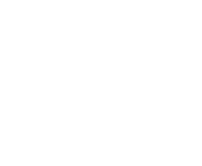 NetEnt games at Vega Swild Casino